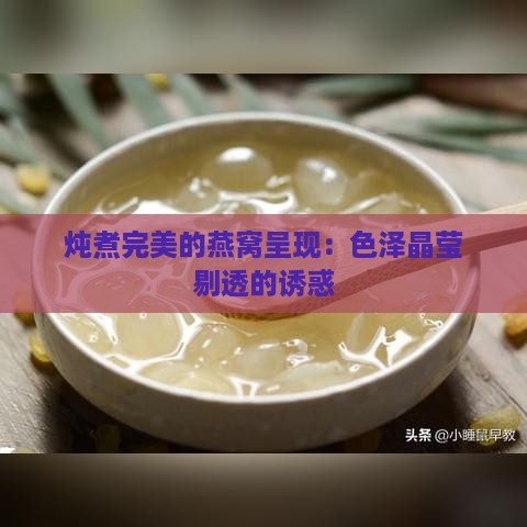 炖煮完美的燕窝呈现：色泽晶莹剔透的诱惑