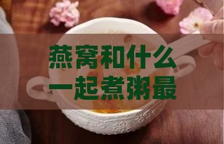 燕窝和什么一起煮粥更好