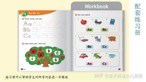 燕窝的原始称呼叫什么呢怎么读：中英文名称及发音解析