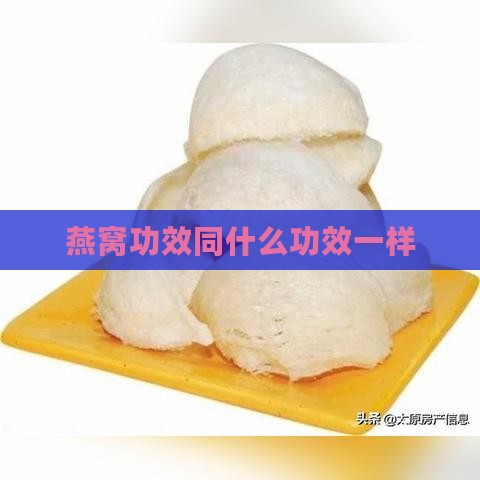 燕窝功效同什么功效一样