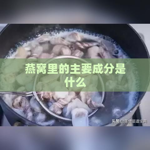 燕窝里的主要成分是什么