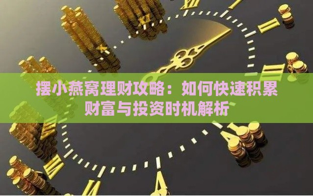 摆小燕窝理财攻略：如何快速积累财富与投资时机解析