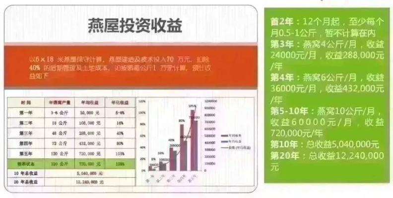 摆小燕窝理财攻略：如何快速积累财富与投资时机解析