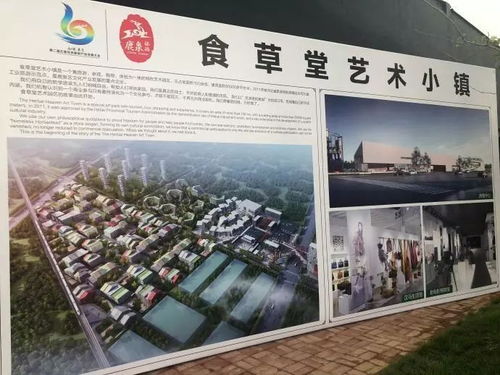 龙岩地域特色：打造城市名片的新篇章