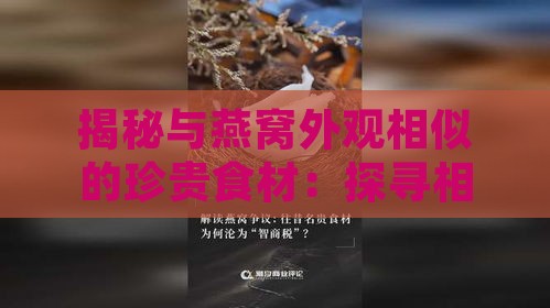 揭秘与燕窝外观相似的珍贵食材：探寻相似之处