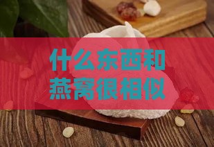 什么东西和燕窝很相似呢