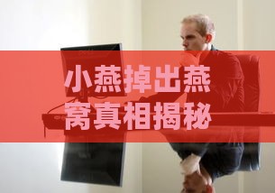 小燕掉出燕窝真相揭秘：原因、影响及应对措施全解析