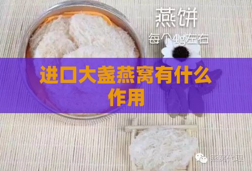 进口大盏燕窝有什么作用