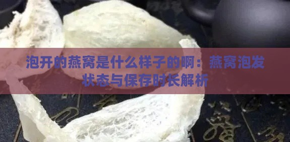 泡开的燕窝是什么样子的啊：燕窝泡发状态与保存时长解析