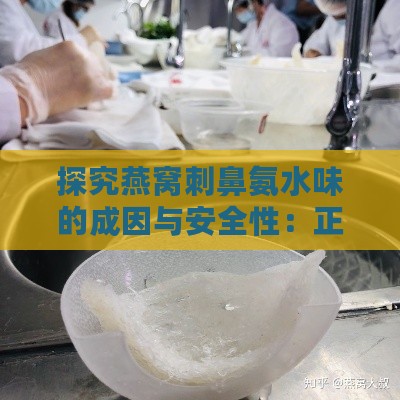 探究燕窝刺鼻氨水味的成因与安全性：正常现象还是质量问题？