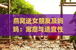 燕窝送女朋友及妈妈：寓意与适宜性探讨