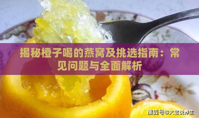 揭秘橙子喝的燕窝及挑选指南：常见问题与全面解析