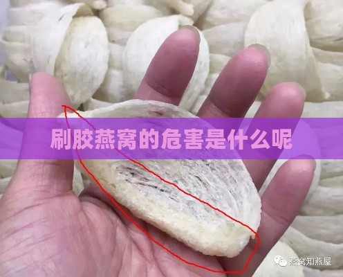 刷胶燕窝的危害是什么呢