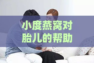 小度燕窝对胎儿的帮助：是否真的促进智力发展及影响分析