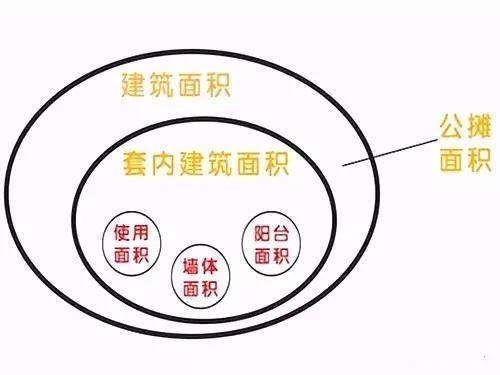 燕窝水分含量解析：深入了解其意义与对食用影响的全指南