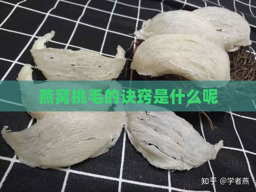 燕窝挑毛的诀窍是什么呢