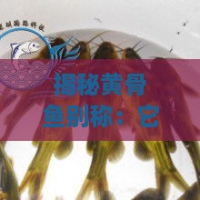 揭秘黄骨鱼别称：它真的被誉为水中燕窝吗？