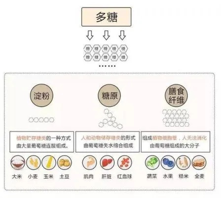 揭秘甜品中使用的多种糖分：常见糖类大解析