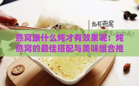 燕窝跟什么炖才有效果呢：炖燕窝的更佳搭配与美味组合推荐