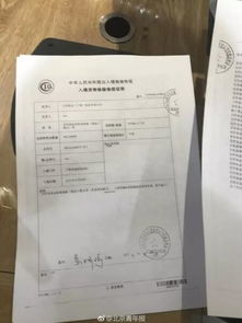 燕窝进口必备：详解获取合法资质的完整流程与要求