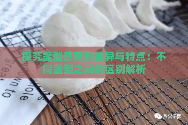 探究盏型燕窝的差异与特点：不同盏型之间的区别解析