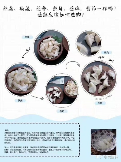 探究盏型燕窝的差异与特点：不同盏型之间的区别解析