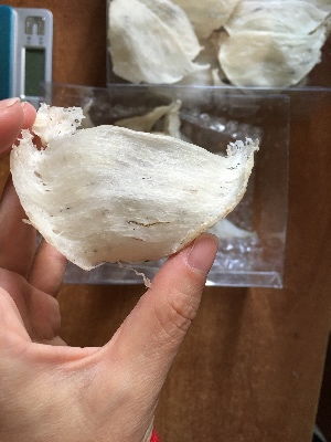 探究盏型燕窝的差异与特点：不同盏型之间的区别解析