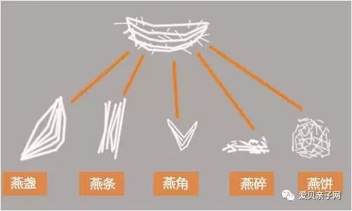 探究燕窝盏型差异：三角盏、平盏、圆盏的营养价值、价格与炖煮方法全解析