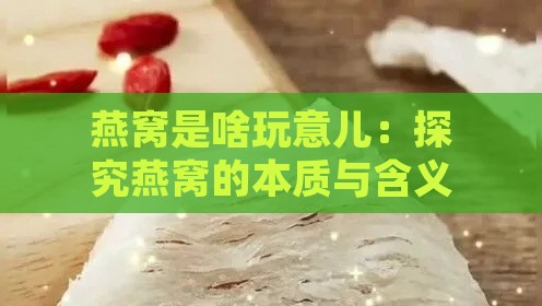 燕窝是啥玩意儿：探究燕窝的本质与含义