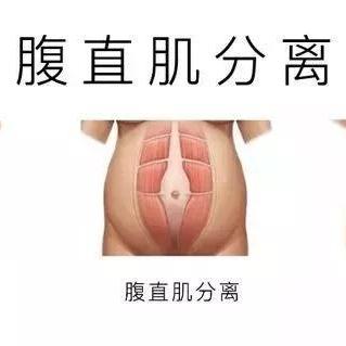 燕窝消化吸收时间解析：究竟多久才能彻底消化完毕？