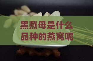 黑燕母是什么品种的燕窝呢，如何食用及食用方法介绍