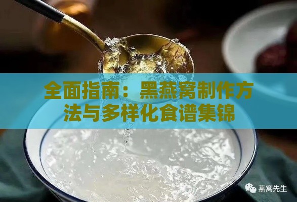 全面指南：黑燕窝制作方法与多样化食谱集锦