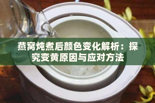 燕窝炖煮后颜色变化解析：探究变黄原因与应对方法