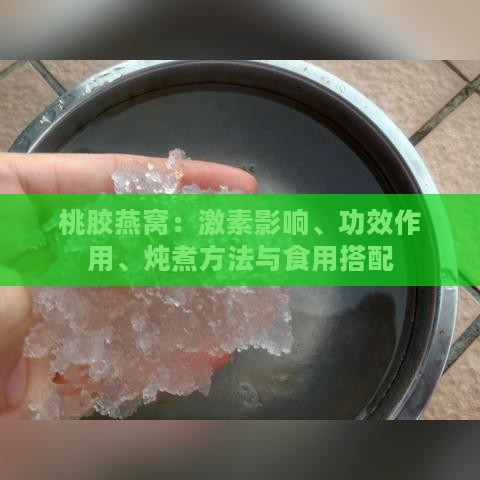 桃胶燕窝：激素影响、功效作用、炖煮方法与食用搭配