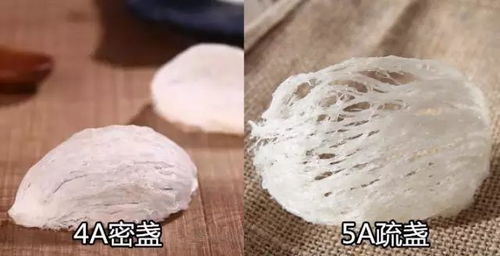 冬天用什么泡燕窝比较好