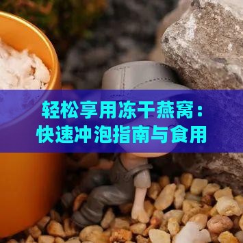 轻松享用冻干燕窝：快速冲泡指南与食用技巧