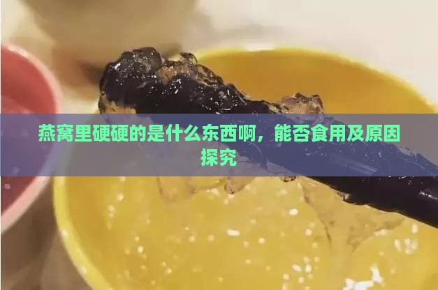 燕窝里硬硬的是什么东西啊，能否食用及原因探究