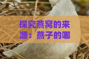 探究燕窝的来源：燕子的哪一部分制成以及其采集过程揭秘