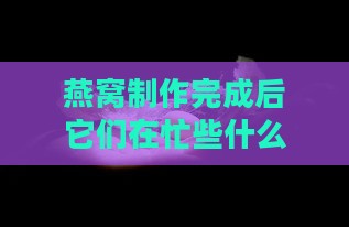 燕窝制作完成后它们在忙些什么？探索燕子的生活点滴