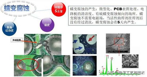 深度解析：燕窝的各种功效、意义及其在不同场景下的作用与适用人群