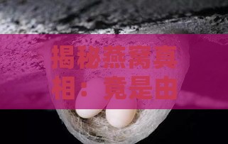 揭秘燕窝真相：竟是由金丝燕口水制成？