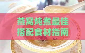 燕窝炖煮更佳搭配食材指南：提升口感与营养的全方位攻略