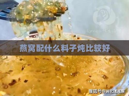 燕窝配什么料子炖比较好