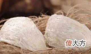 燕窝里面会放什么药材呢：探究燕窝添加哪些食材更美味