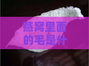 燕窝里面的毛是什么颜色，形态及特征详解