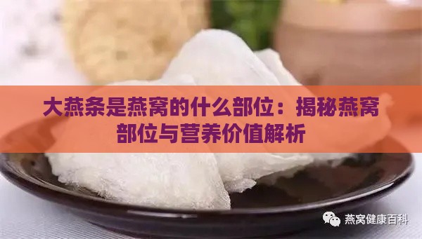 大燕条是燕窝的什么部位：揭秘燕窝部位与营养价值解析