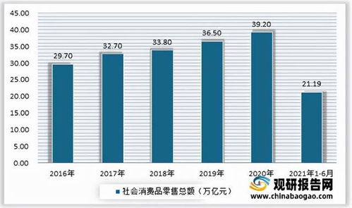 创新燕窝电商销售模式与市场拓展策略解析