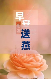 送燕窝要怎么表达感谢、心情与祝福的话语怎么说