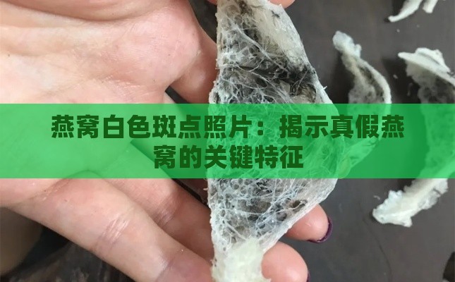 燕窝白色斑点照片：揭示真假燕窝的关键特征