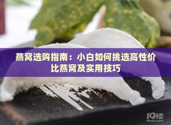 燕窝选购指南：小白如何挑选高性价比燕窝及实用技巧